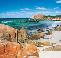 Castle Bay - Food Delivery Shop