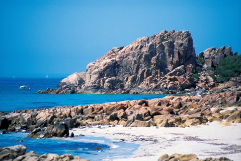 Castle Bay - Food Delivery Shop 2