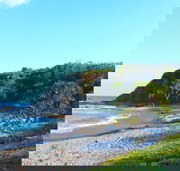 Clay Head - Pet Food Australia