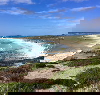 Daly Head National Surfing Reserve - Pet Food Australia