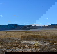 Darke Peak Scenic Drive - Pet Food Australia