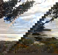 Fish Cannery Walking Trail - Pet Food Australia