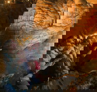 Gunns Plains Caves - Pet Food Australia