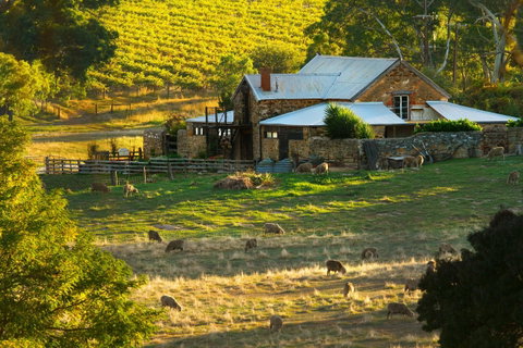 Hutton Vale Farm - Food Delivery Shop 1