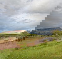 Judbarra / Gregory National Park - Pet Food Australia