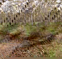 Livingstone National Park - Food Delivery Shop