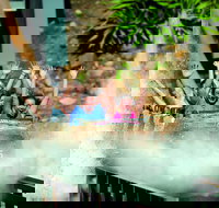 Oxenford - Pet Food Australia