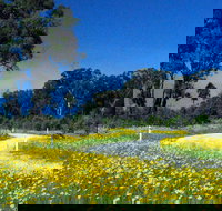 Shearer's Way - Pet Food Australia