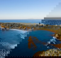 Snorkelling Guerilla Bay - Food Delivery Shop