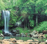 Tamborine National Park - Food Delivery Shop