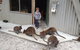The Patriarch Wildlife Sanctuary - thumb 0