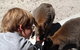The Patriarch Wildlife Sanctuary - thumb 1