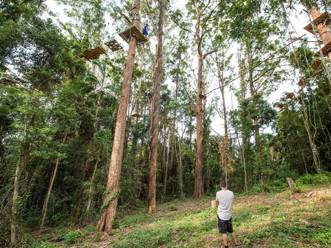 TreeTop Challenge - Sunshine Coast - Pet Food Australia 1