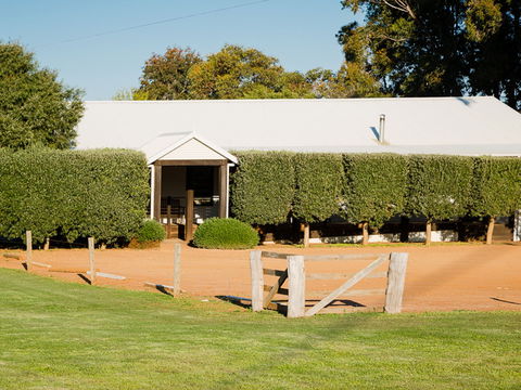 Vasse Virgin - Pet Food Australia 1