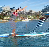 Alternative Fitness - Food Delivery Shop