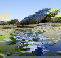 Anderson Park Botanic Gardens - Pet Food Australia