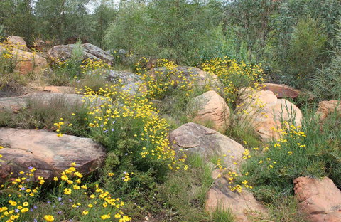 Ben Hall's Cave Walking Track - Food Delivery Shop 0