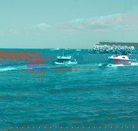 Bowen Creek Fishing - Pet Food Australia