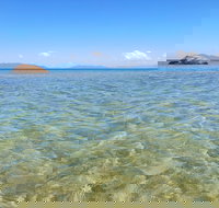 Bowen's Rose Bay - Pet Food Australia