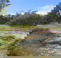 Christmas Rock Walk - Pet Food Australia