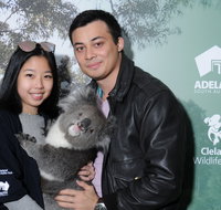 Cleland Wildlife Park - Koala Hold - Food Delivery Shop