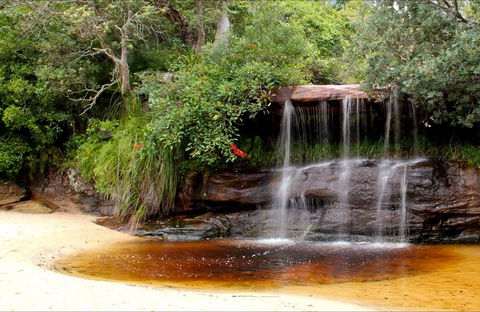 Collins Flat Beach - Food Delivery Shop 0