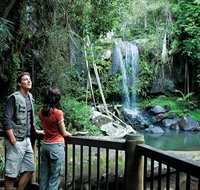 Curtis Falls track Tamborine National Park - Food Delivery Shop