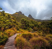 Dove Lake - Food Delivery Shop