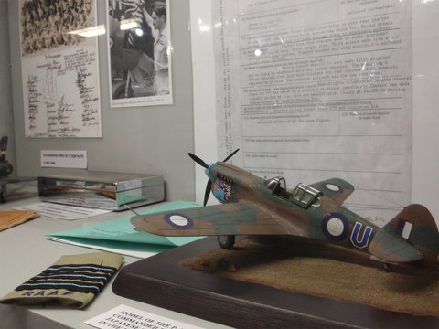 Fighter World - Food Delivery Shop 2