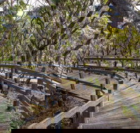 Governor Summit Corrunbral Borawah Walking Track - Pet Food Australia