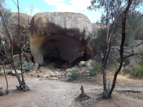 Hippo's Yawn - Food Delivery Shop 1