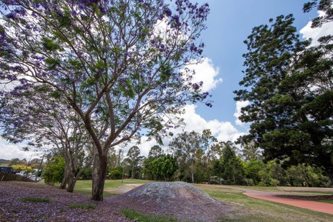 John Scott Park - Food Delivery Shop 0