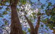 John Scott Park - thumb 1