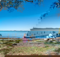 Lamb Island Nguderoo - Pet Food Australia