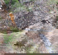 Mill-bullah Walking Track - Pet Food Australia