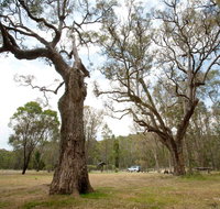 Moolarben Picnic Area - Food Delivery Shop