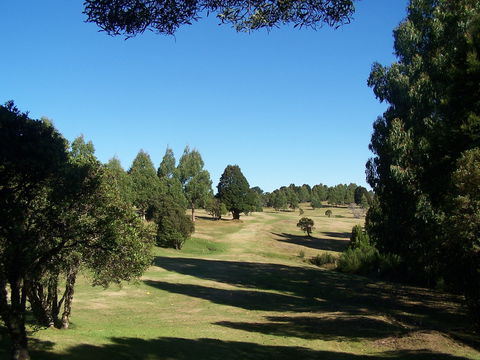 Mountain Vista Golf Club - Food Delivery Shop 1