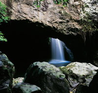 Natural Bridge Circuit Springbrook National Park - Food Delivery Shop