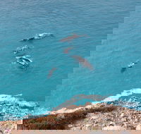 Nullarbor National Park - Food Delivery Shop