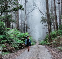 The Corn Trail Walking Track - Food Delivery Shop