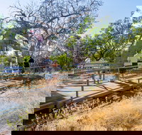 Timber Creek - Pet Food Australia