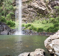 Twin Falls Circuit Springbrook National Park - Food Delivery Shop