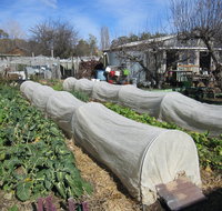Wynlen House Tour a Unique Urban Regenerative Farm and Market Garden - Food Delivery Shop