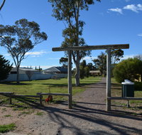 Apex Park  Picnic Area