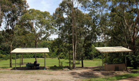 Back Creek Picnic Area - Food Delivery Shop 0