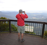 Best of All lookout track Springbrook National Park - Food Delivery Shop