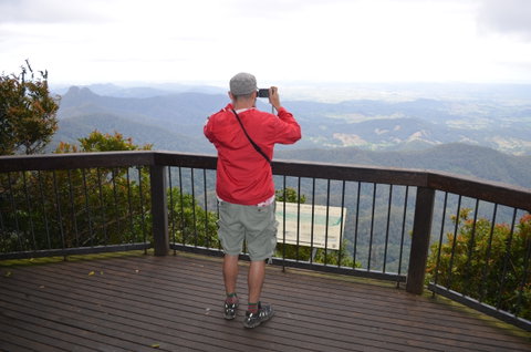Best Of All Lookout Track, Springbrook National Park - Food Delivery Shop 0