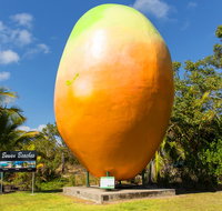 Big Mango - Food Delivery Shop