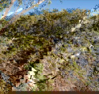 Boonoo Boonoo Falls picnic area - Pet Food Australia