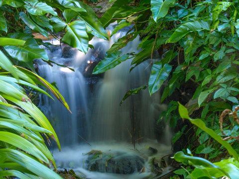 Brisbane Botanic Gardens Mount Coot-tha - Food Delivery Shop 1